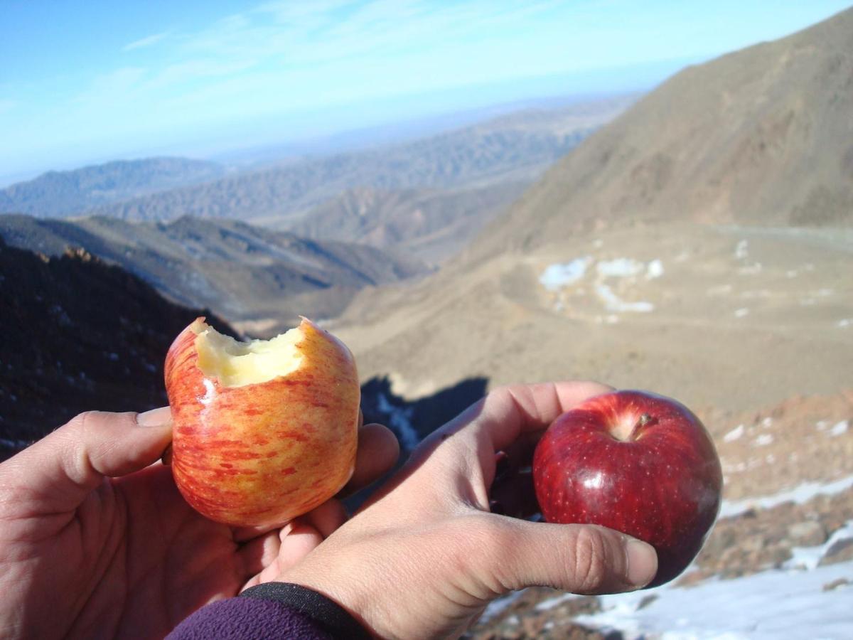 Nomade Mountain House Albergue Potrerillos Exterior foto